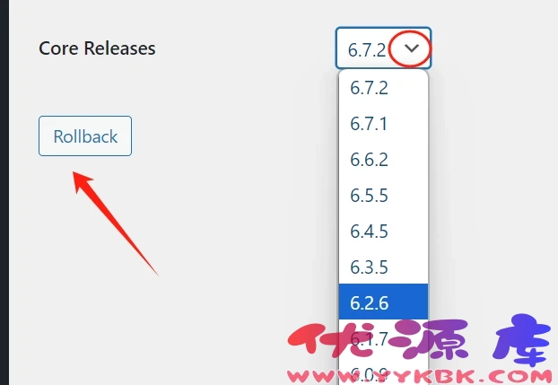 WordPress版本降级教程(此教程很详细)以防哪天需要找不到,记得保存哦!-优源库 WordPress版本降级教程(此教程很详细)以防哪天需要找不到,记得保存哦!-优源库