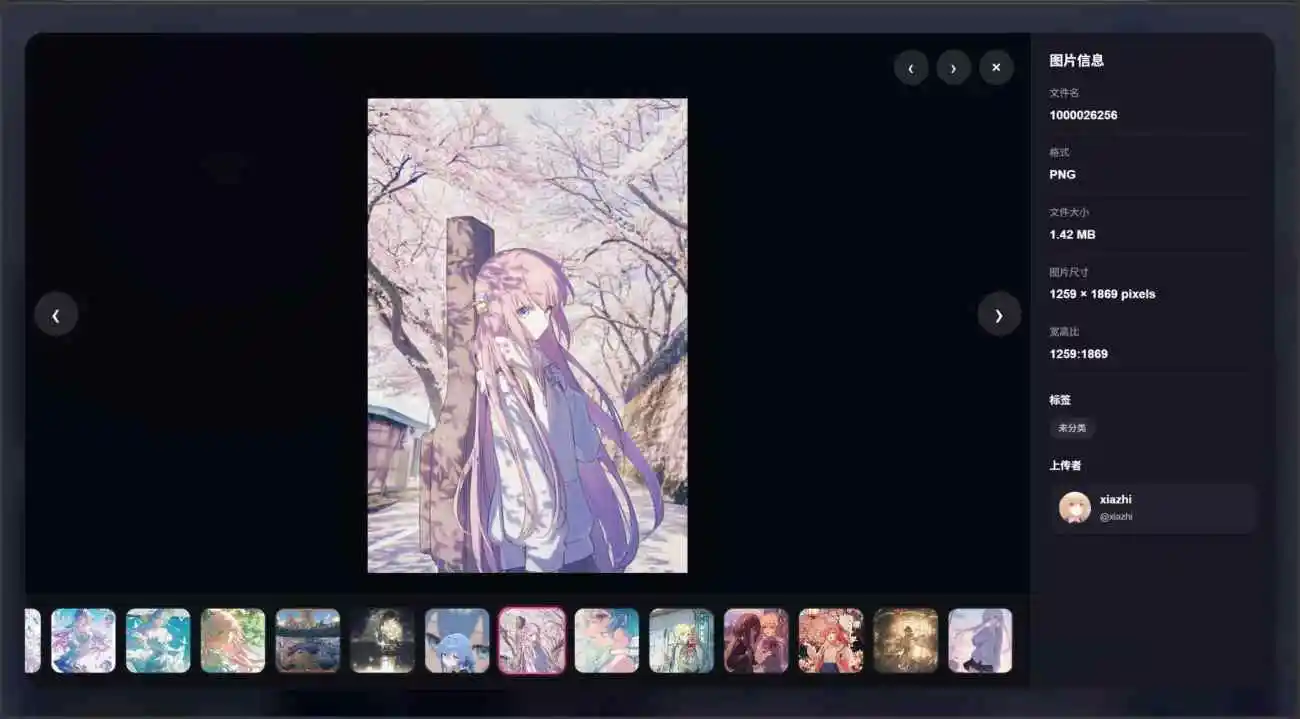 夏稚相册:Lsky Pro 图床无缝对接 + 广场功能接口 一站式相册管理工具 夏稚相册:Lsky Pro 图床无缝对接 + 广场功能接口 一站式相册管理工具