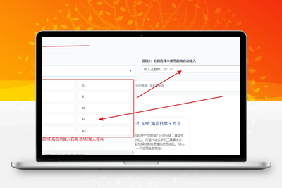 子比主题（Zibll）终极优化：文章 ID 跳号修复 + 自定义 ID（网格布局完美版）-优源库博客